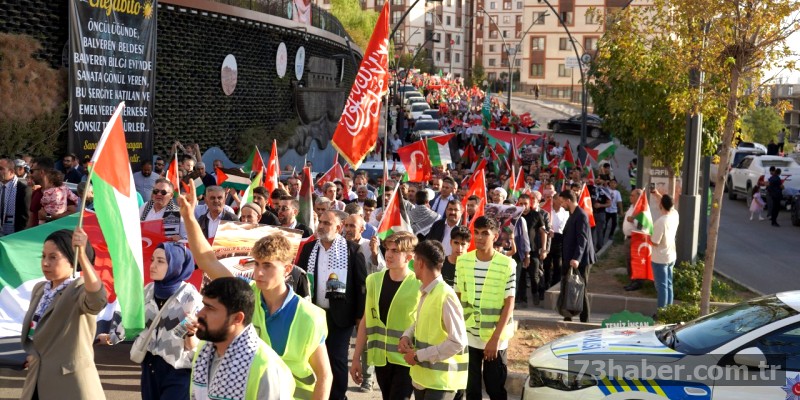 Şırnak, Gazze'ye Desteğini Yürüyüşle Gösterdi