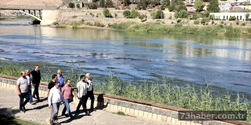 Cizre'de Dicle Nehri Temizleniyor: Yosun ve Balçık Gidecek
