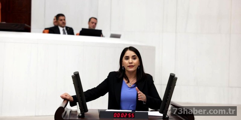 Şırnak'ta Uyuşturucu Alarmı: DEM'li Aslan'dan Kritik Uyarı