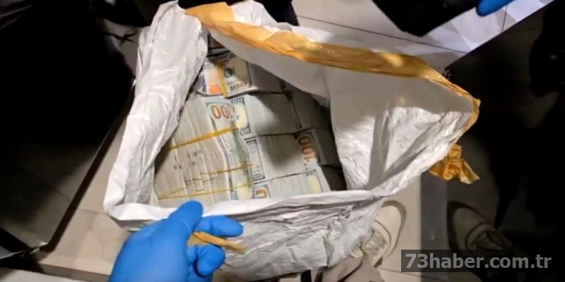 Dağ Grubu Operasyonu: Şırnak merkezli 7 ilde 50 gözaltı