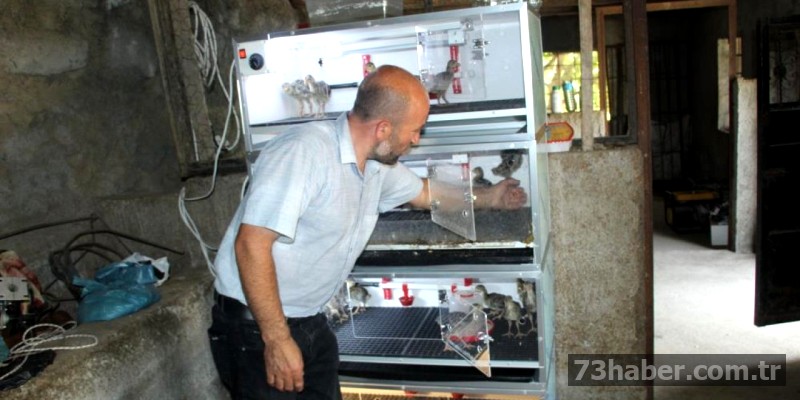 Şırnaklı Fedakar Baba: Evde İş, Aile Yanında!