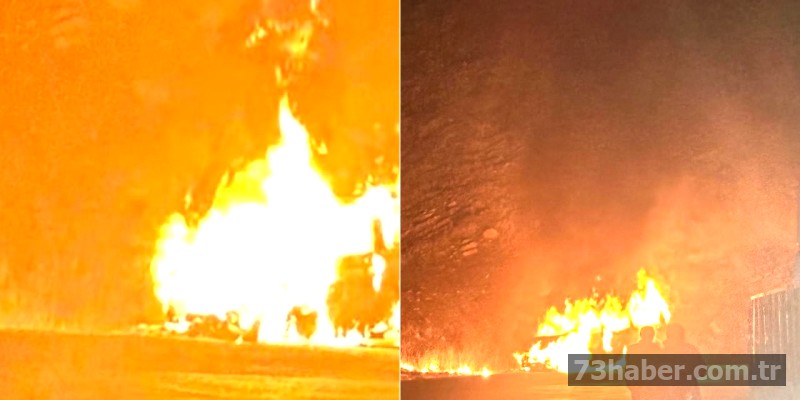 Şırnak'ta araç yangını: Alevler içinde kaldı!