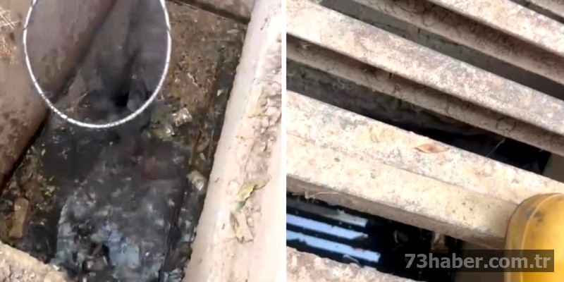 Şırnak'ta Kediyi Kanalizasyondan Kurtarma Operasyonu