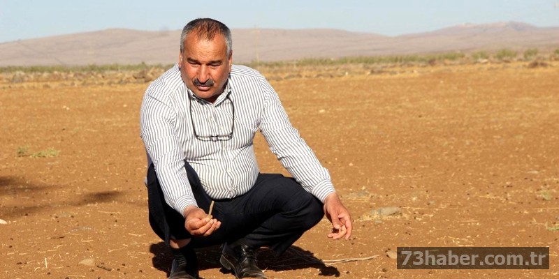 Şırnak'ta Kuraklık Vurdu: Çiftçi Destek Bekliyor