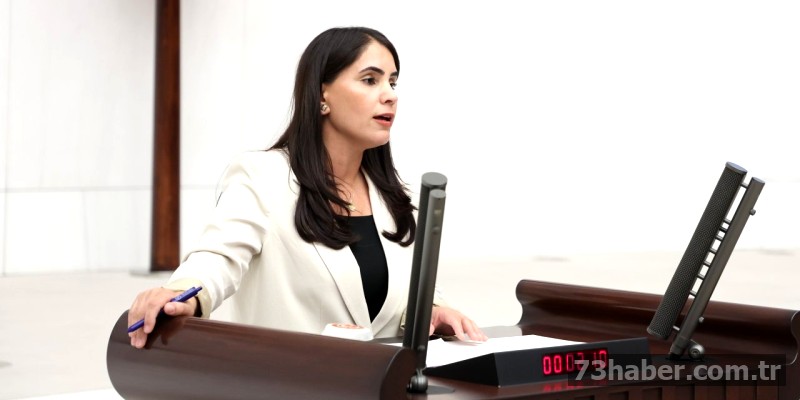 DEM Parti'den Şırnak Ormanları İçin Meclis'e Önerge