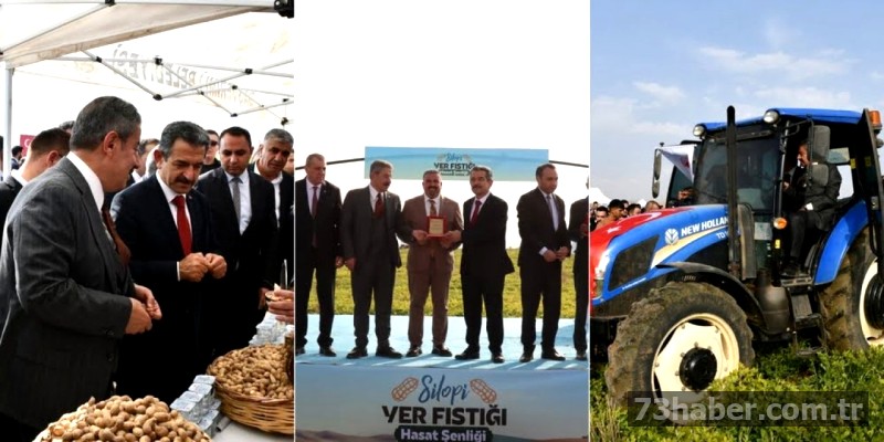 Şırnak'ta Fıstık Bereketi: Hasat Şenliği Coşkusu