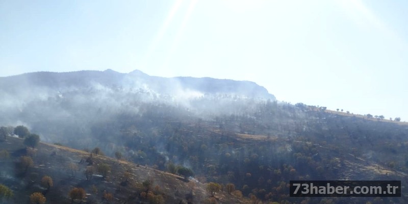 HATA: API yanıtı alınamadı