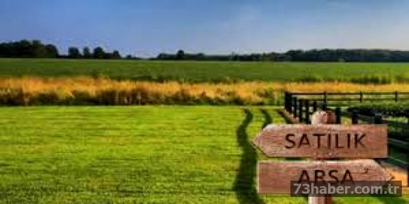 Şırnak Cizre'de Cazip Arsa Fırsatı: 24 Dönüm İhaleyle Satışta!
