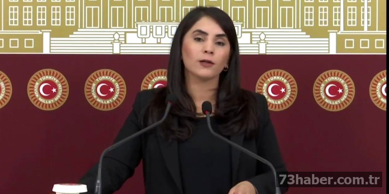 **UYARI: API'den veri çekilemedi**