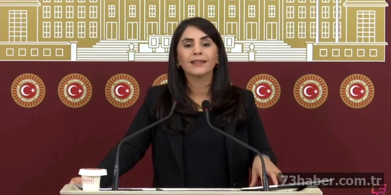 DEM Parti Şırnak Milletvekili Aslan, Köy Yollarının Yapımındaki Gecikmeye İsyan Etti: "Bu Kadar Uzun Sürmesi Kabul Edilemez!"