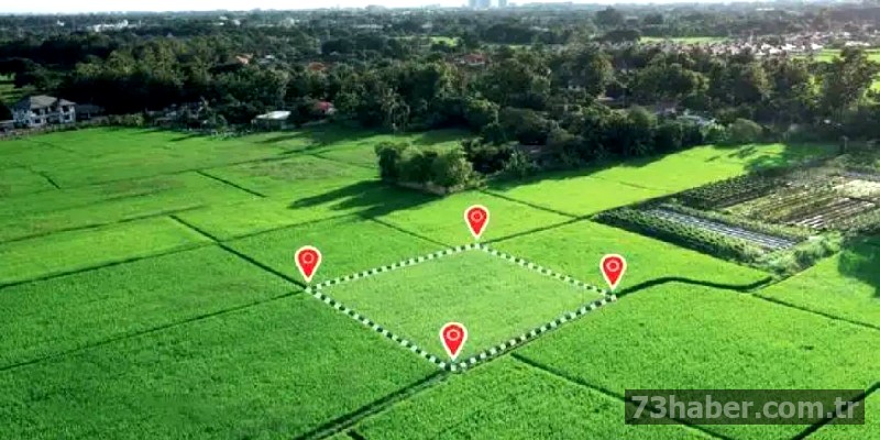 Şırnak'ta Eşsiz Tarla Fırsatı: Devasa Boyutlarda Satılık Arazi!