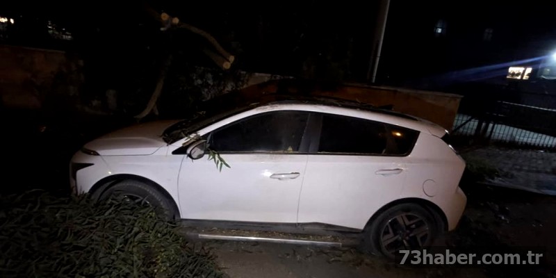 Şırnak'ta Fırtına Ağacı Devirdi: Araç Hasar Gördü