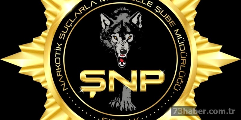 Şırnak'ta Uyuşturucu Kaçkını Yabancı Kimliğiyle Yakalandı