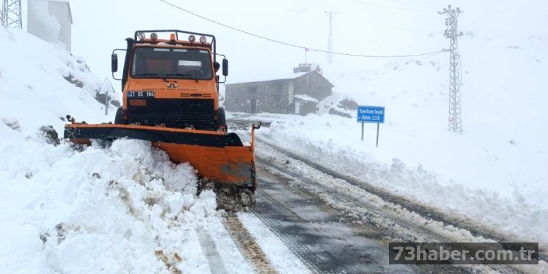 Şırnak'ta Kar Esareti: Hayat Durdu, Ekipler İş Başında