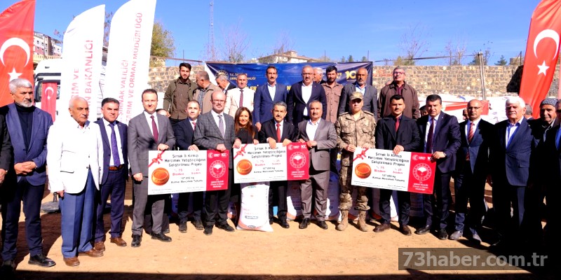 İdil'in Toprakları Bereketlenecek: Vali Ekici'den Mercimek Tohumu Desteği