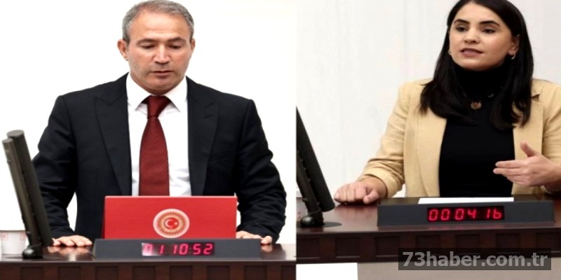 Şırnak Elektriksiz Kaldı: DEM Partisi'nden Kesintiye Yönelik Ağır Eleştiriler