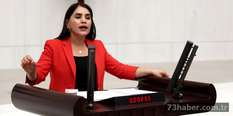 Hastane İnşaatı Krizi: Ödenek Yok, Çalışmalar Durdu!