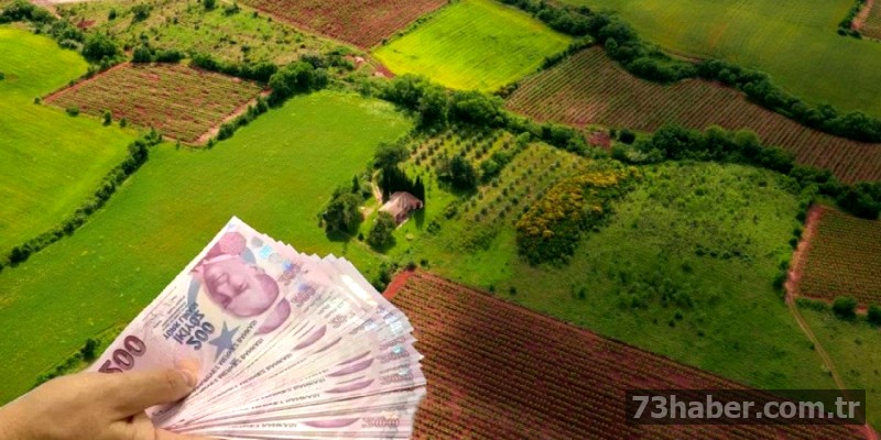 Tapu Değeri Rekor Kırdı: Şırnak ve Diyarbakır Zirvede!