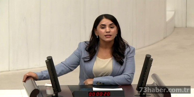 Şırnak'taki Sağlık Sorunları TBMM Gündeminde!