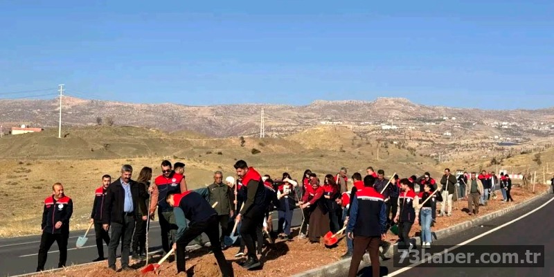 Cizre-Şırnak yoluna yeşil dokunuş