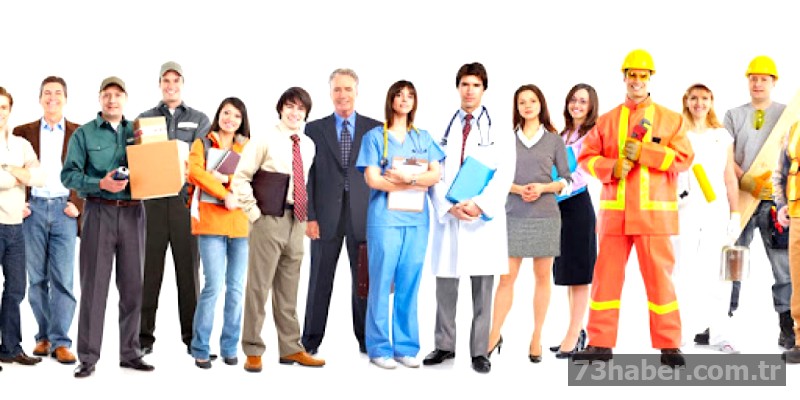 Şırnak'ta İstihdam Fırsatı: Kamu ve Özel Sektörde 55 Yeni İşçi Alımı Başlıyor!