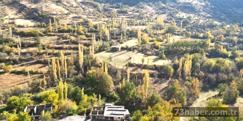 Uludere'de Sonbahar Renk Cümbüşü