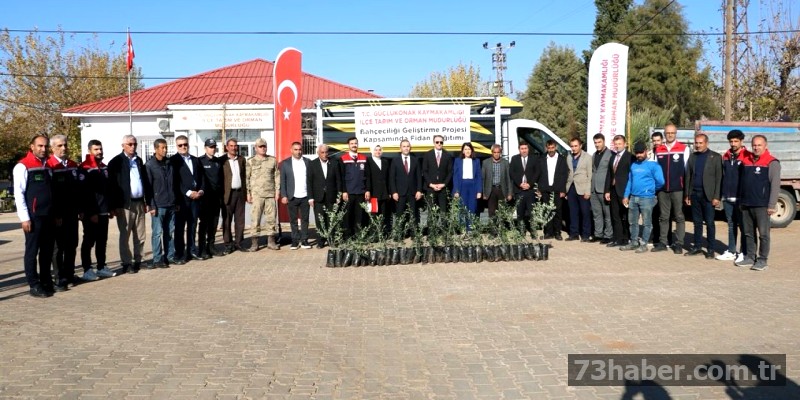 Şırnak'ta Zeytin Umudu: 4 Bin Fidan Dikildi
