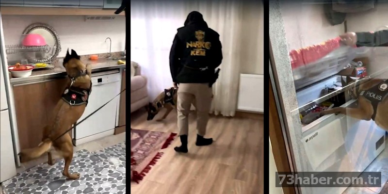 Şırnak'ta Uyuşturucu Baskını: 6 Tutuklama