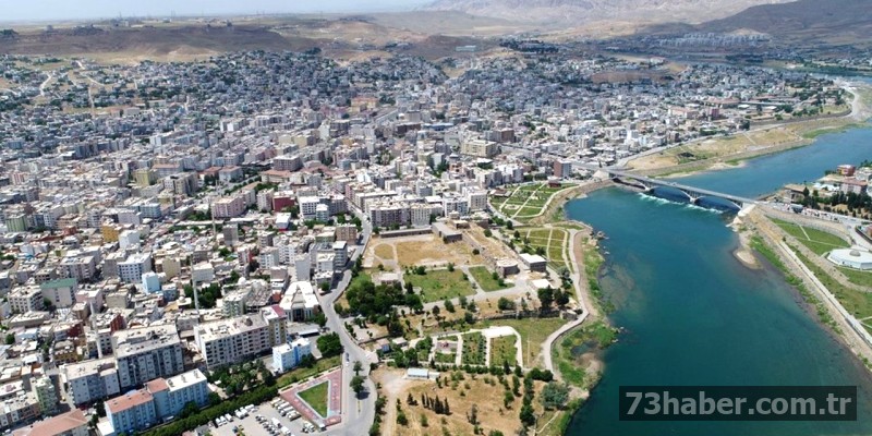 Cizre Sydv Is Fırsatı