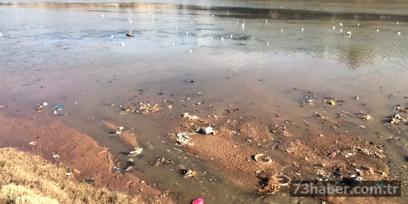 Dicle Nehri Kıyısı Çöplüğe Döndü