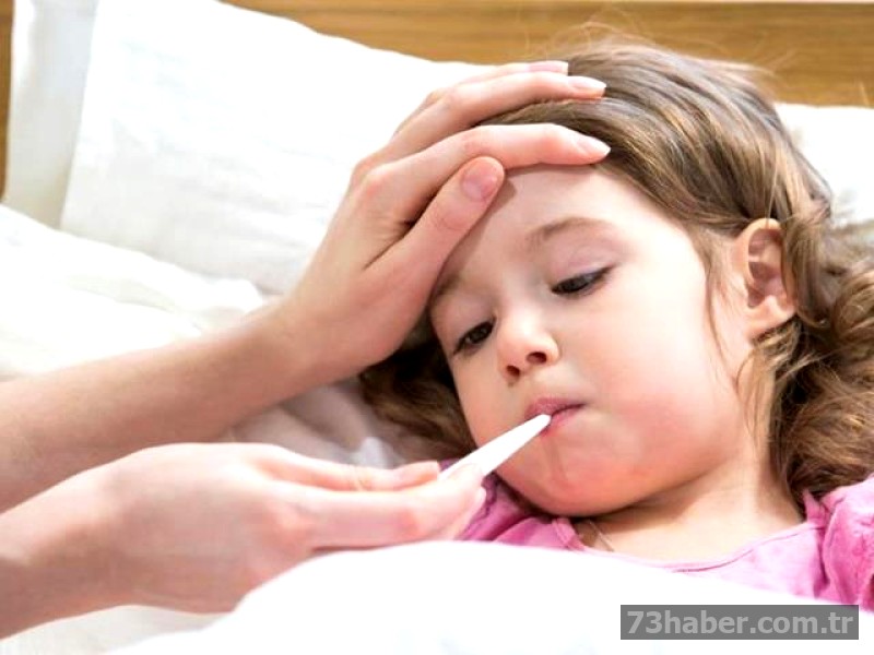 Soğukta Virüsler Savaşı