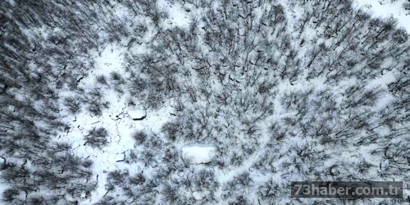 Şırnak'ta Kartpostallık Manzaralar