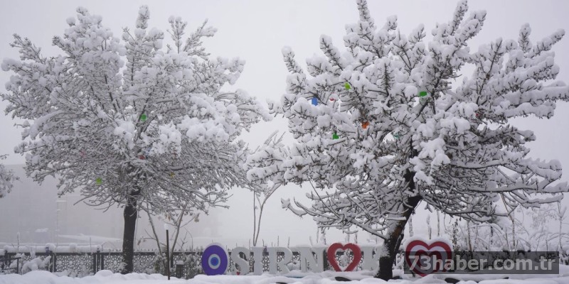 Şırnak'ta kar yağdı