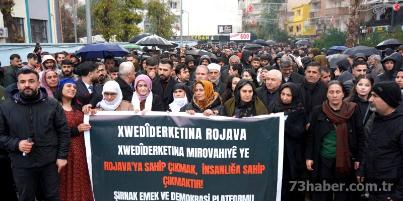 Cizre'de 3 Gözaltı