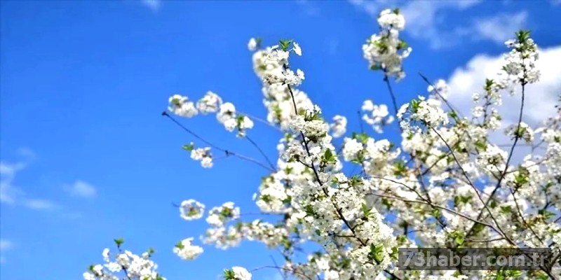 Cemre Ne Zaman Düşecek?