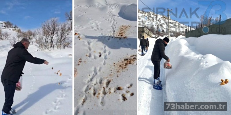 Caner yaban hayvanlarına yardım etti