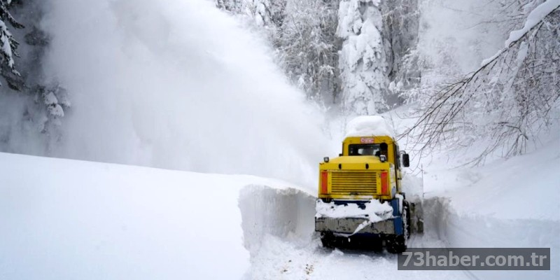 Kar Yağışı Doğu'yu Felç Etti