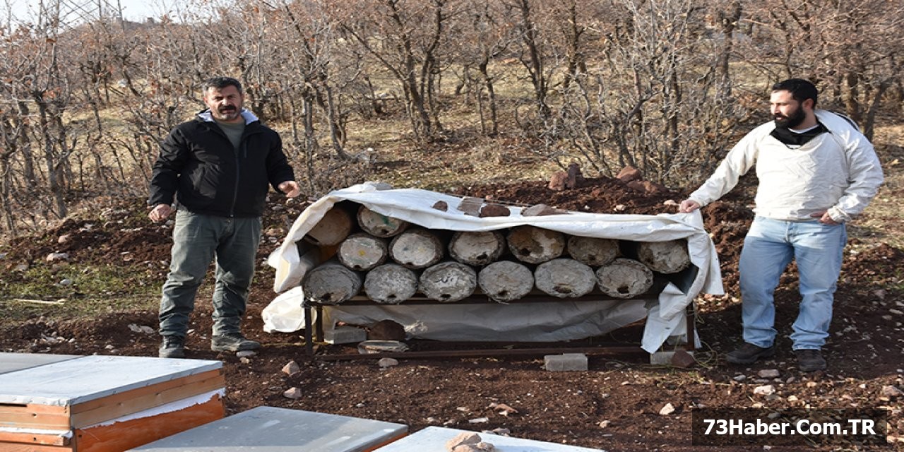 Şırnak Balı Londra'ya Uçuyor!