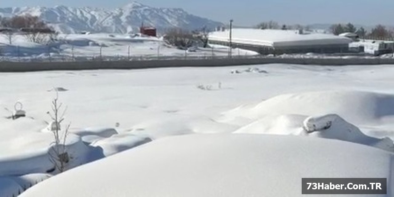 Köpek Sesleri Uyku Kaçıran Mahalle!