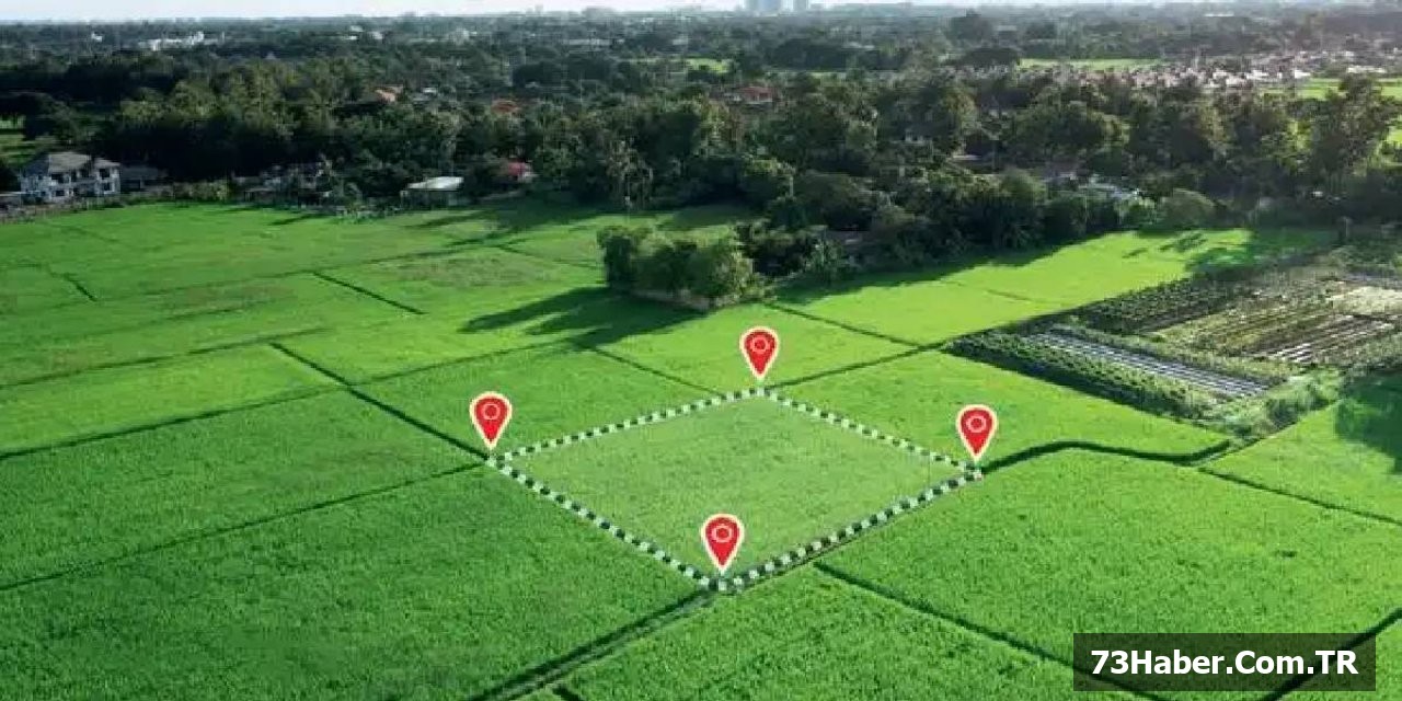 Şırnak'ta 7 Arsa Açık Artırmada!