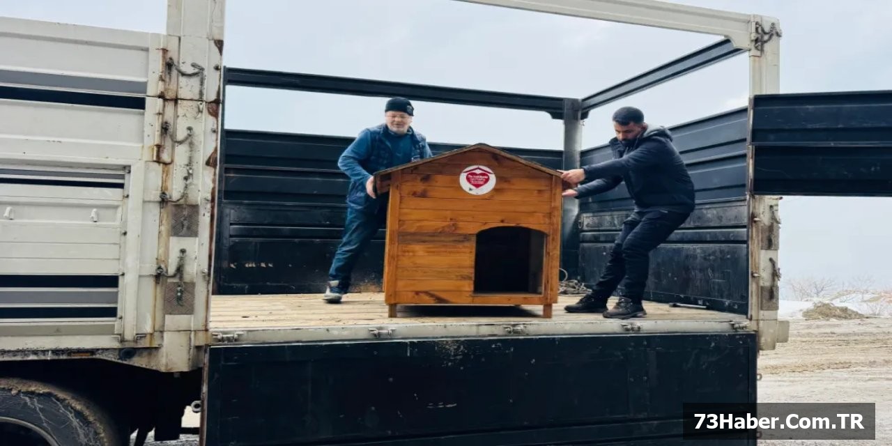 Şırnak Sokak Köpeklerine 17 Kulübe