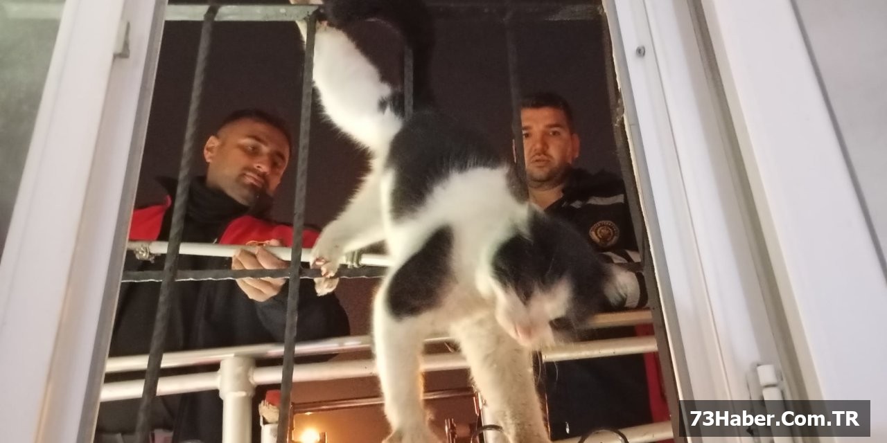 Cizre'de Kedi İtfaiye Tarafından Kurtarıldı