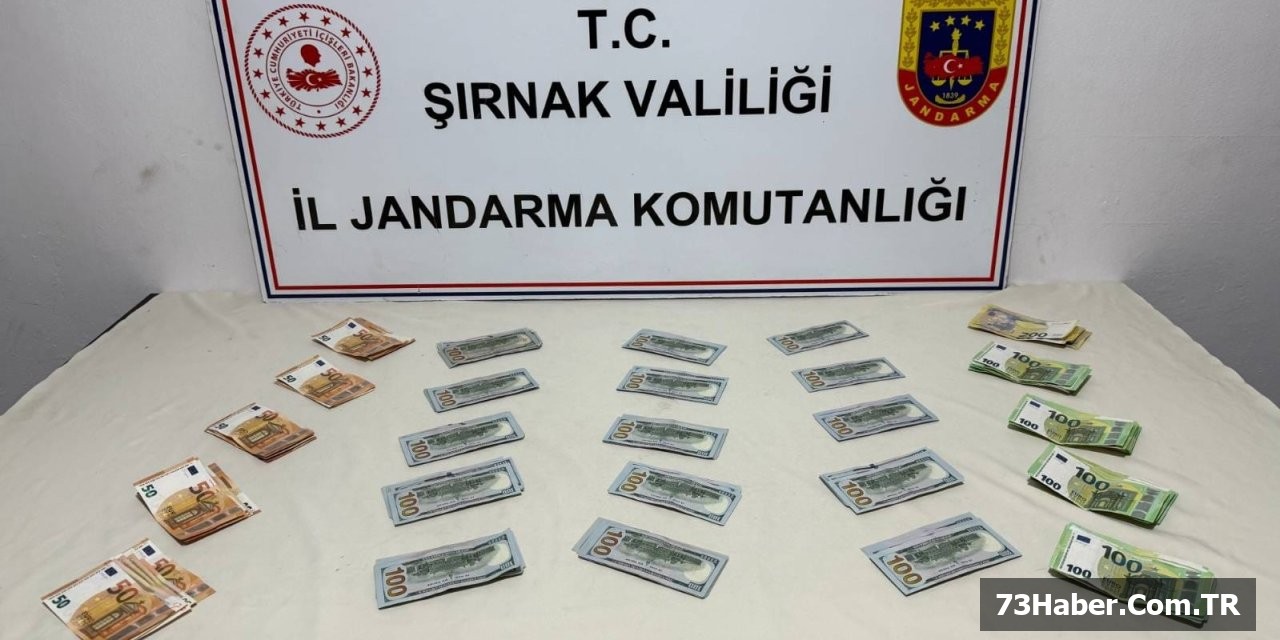 Şırnak'ta Jandarma Baskısı: 149 Gözaltı