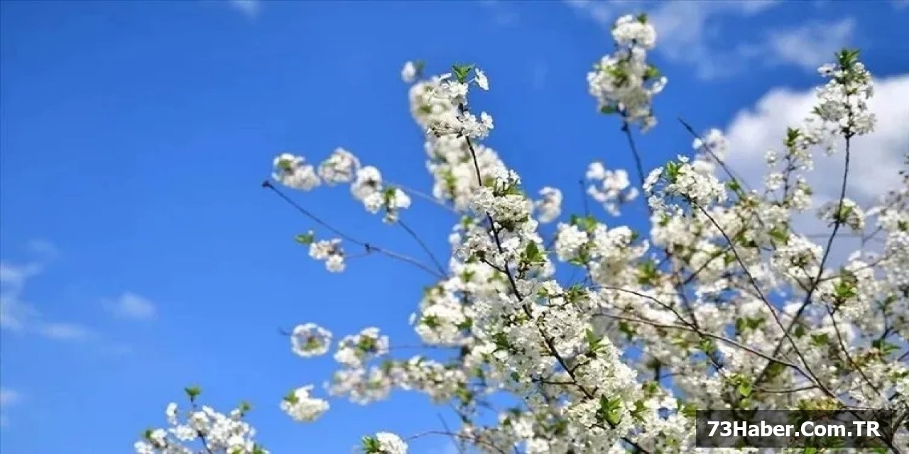 İlk Cemre Ne Zaman?