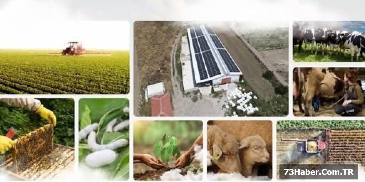 214 Projeye 1,7 Milyar TL Tarım Hibe