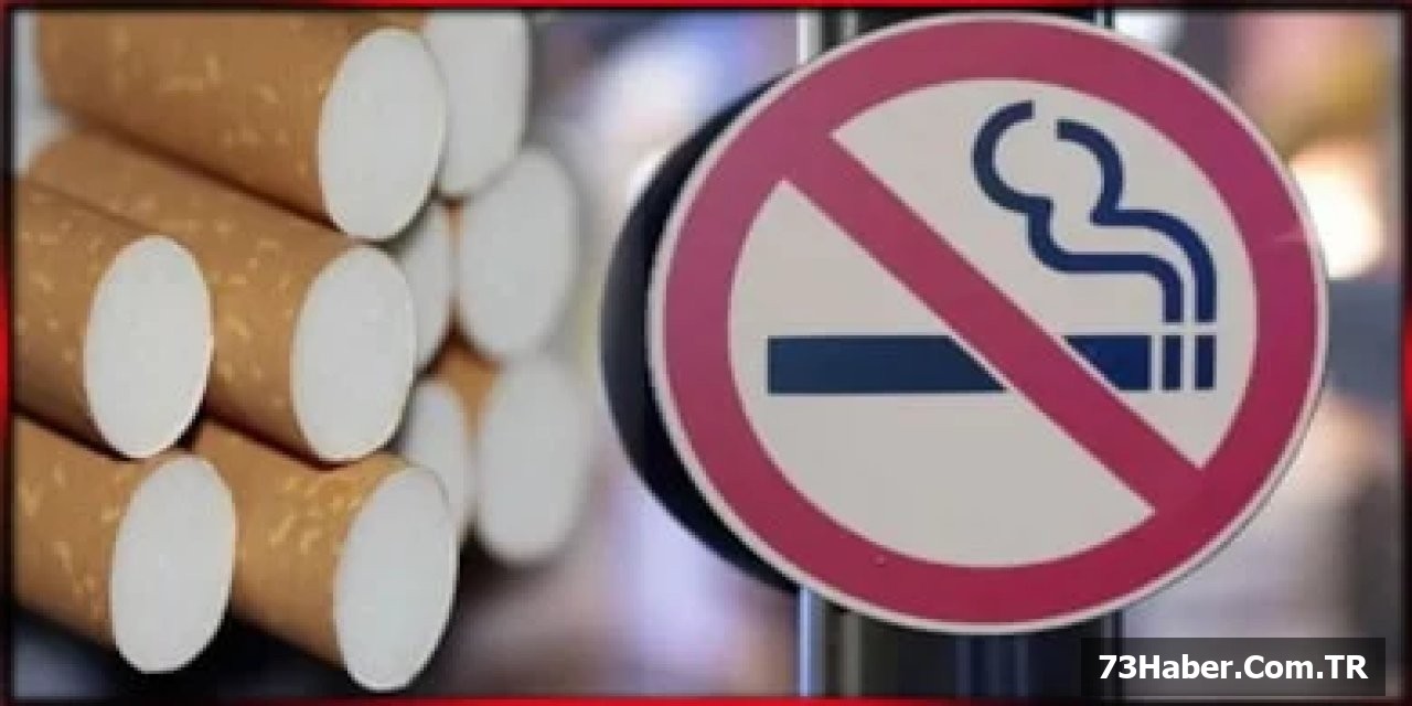 Bakanlık Uyarıyor: Cep Telefonuna Gelen SMS'ye Dikkat!