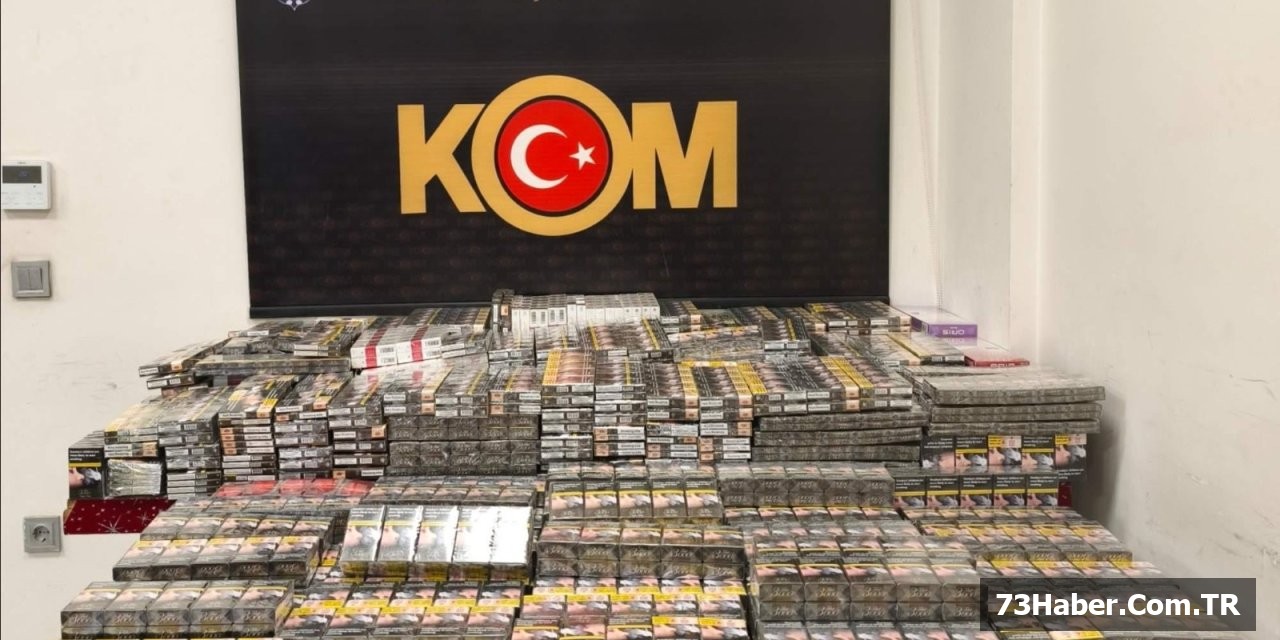 Şırnak'ta Büyük Operasyon: 10 Tutuklama