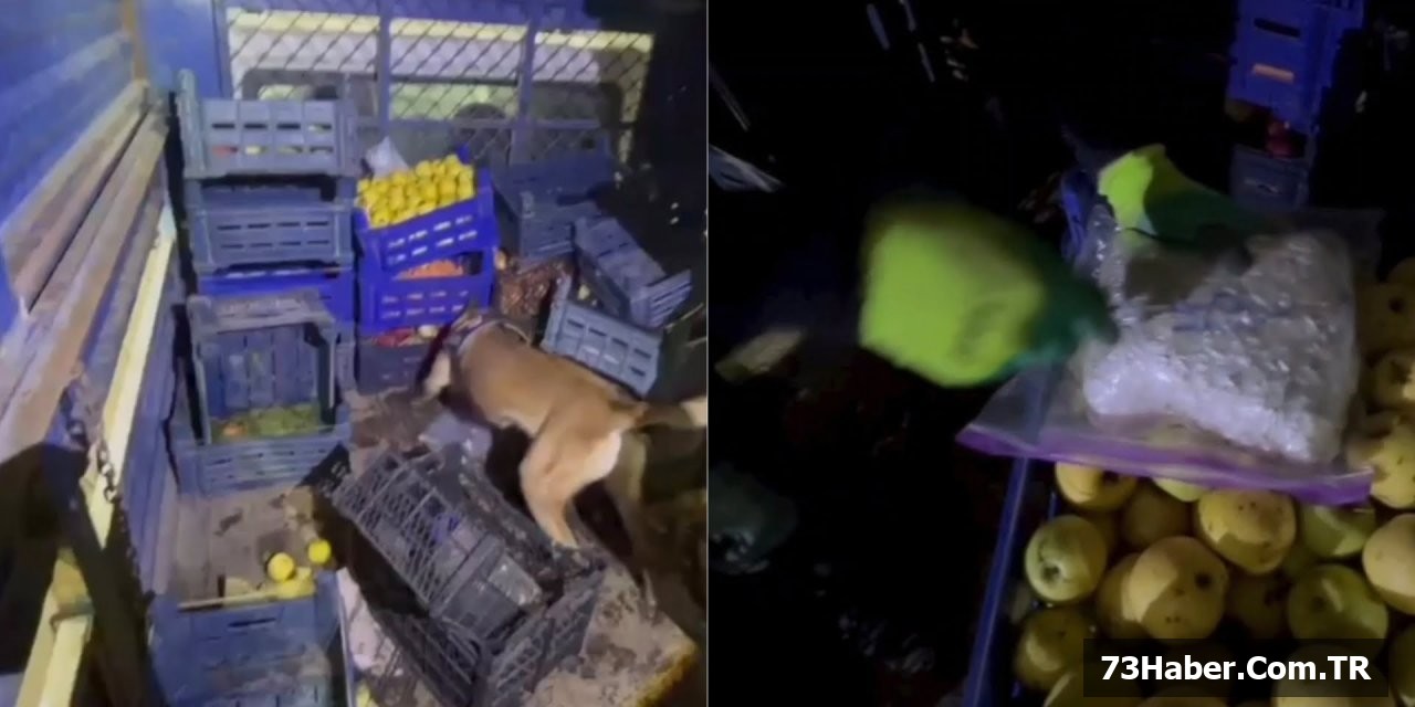 Şırnak'ta Uyuşturucu Darbesi: 2 Tutuklama