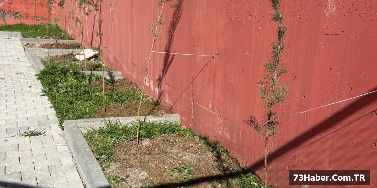 Silopi Yeşilleniyor!