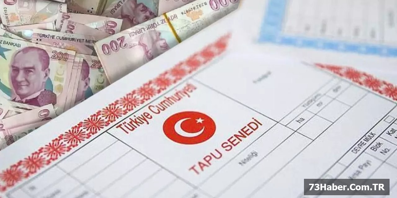 Vergi Kaçırma Yok!